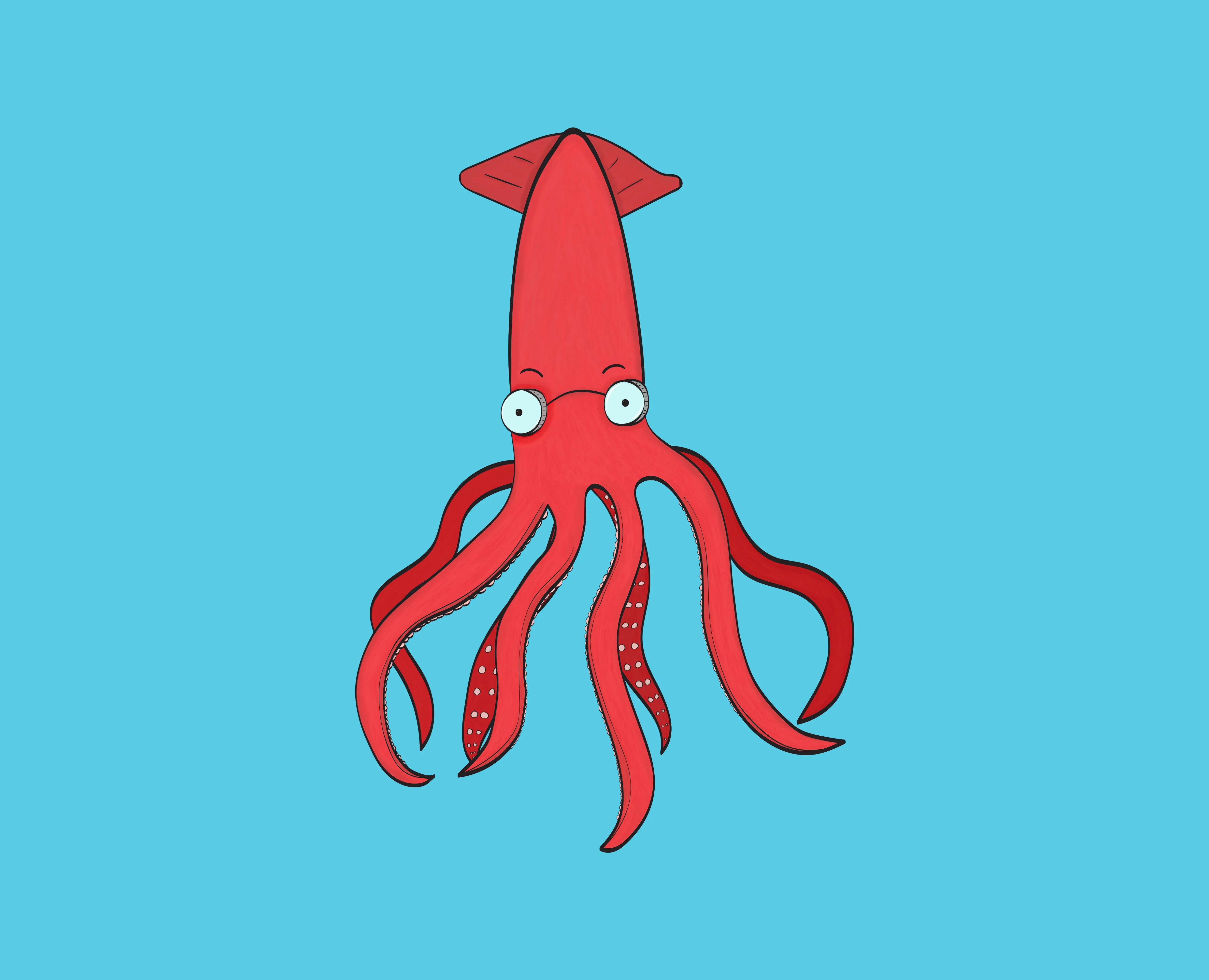 Squid illustration